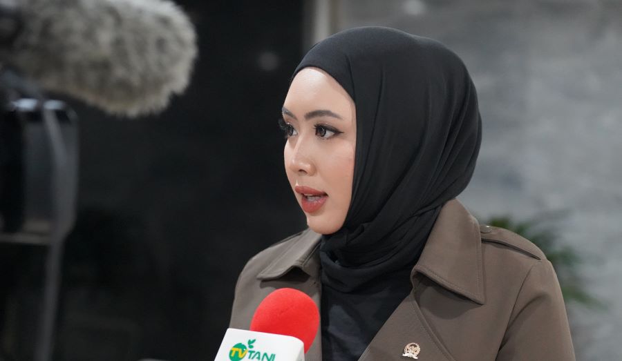NasDem Dukung Komitmen Presiden Tindak Tegas Pelaku Karhutla